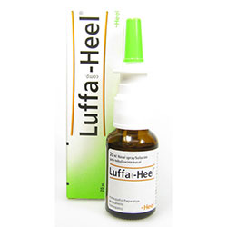 LUFFA HEEL SPRAY DI GUNA