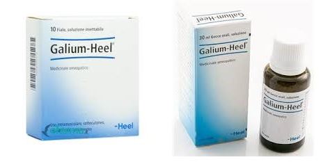 galium heel